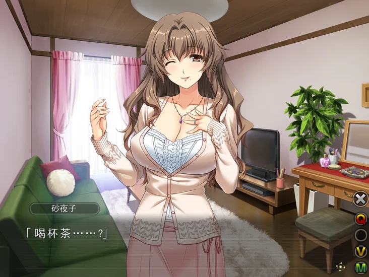 PC电脑 妻中蜜(3部合集+动画)-小强游戏