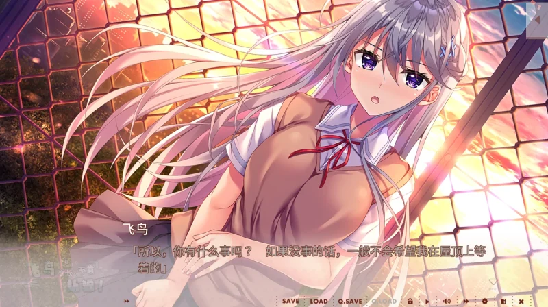 图片[4]-安卓+电脑 【ADV+汉化合集】海豹社八部合集 模拟器玩-小强游戏